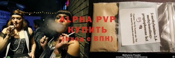 стафф Карпинск