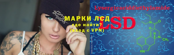 стафф Карпинск