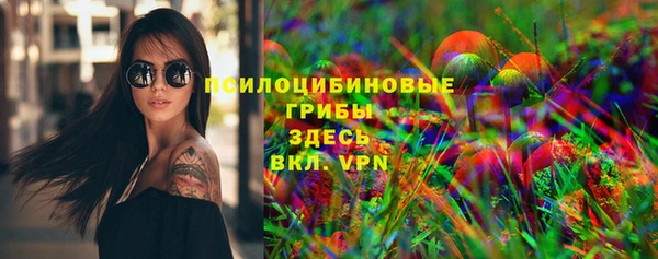 стафф Карпинск