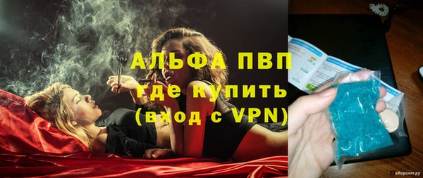 стафф Карпинск