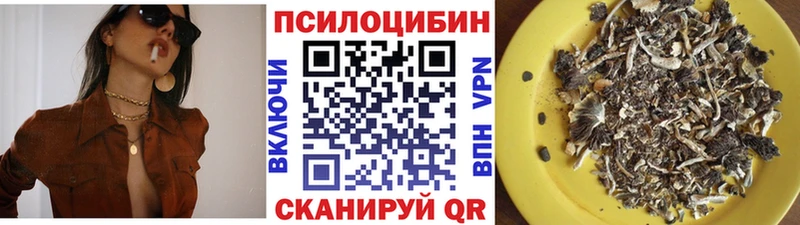 Купить  Борзя  Псилоцибиновые грибы MAGIC MUSHROOMS 